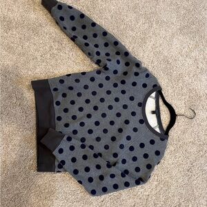 J. Crew Navy and Gray Crewneck